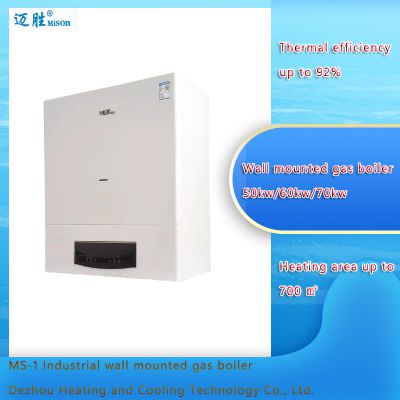 Good Quality Gas Boiler 3-phase Gas Boilers 50kw Closed Chamber Wall Mounted Gas Boiler