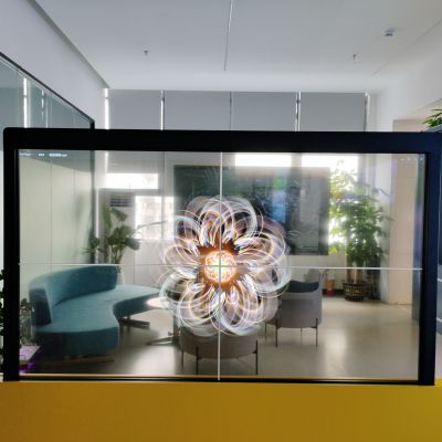 OLED transparent display screen