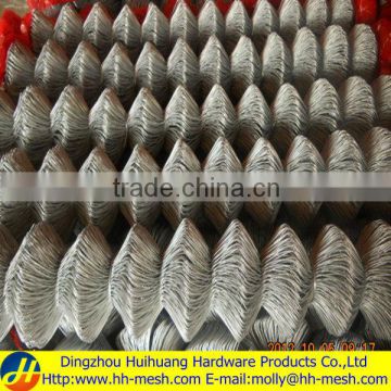 Roller chain link mesh fence-PVC coated/Galvanized-(Manufactuerer&exporter)50*50/60*60/75*75/100*100