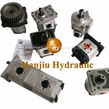 China hydraulic pump