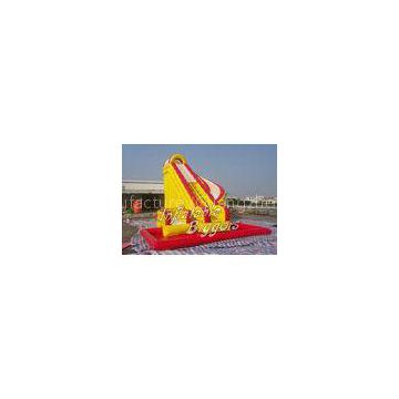 Durable PVC Inflatable Water Slide With Swimming Pool , Inflatable Combo Water Slide Rentals