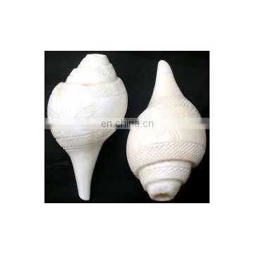 Conch Shell Shankh