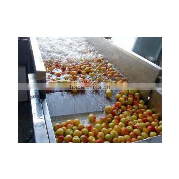 apple chips production line