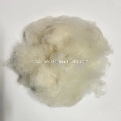 whole sales lamb wool carded sheep wool 20.5mic