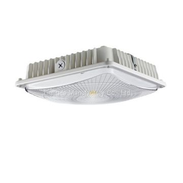 Outdoor IP65-Rated 80W led surface mount canopy lights, 100-240VAC/277vac, 120 LPW, 5yrs Warranty
