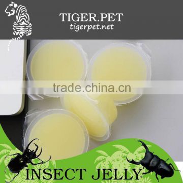 2015 new products assorted mini fruit jelly
