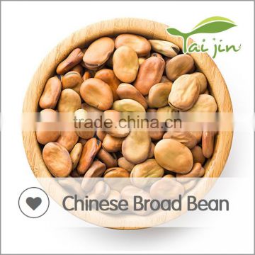 Round export yellow broad bean