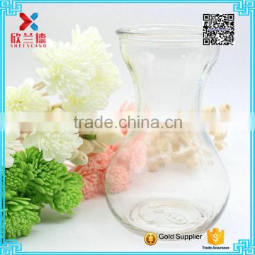 Exquisite glass round vase for home decoration