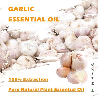 Bulk 100% Pure Organic Garlic Oil Wholesale Price Hair Care Garlic Essential Oil For Hair