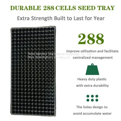 288 Holes Seed Trays      Plastic Seedling Trays Wholesale      288 cell plug tray    vegetable seedling trays