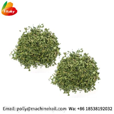 Food Grade Dried Coriander Leaves Supplier