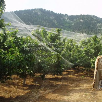 Manufacturer HDPE plastic anti bird net agricultural plastic products garden netting greenhouse planting net