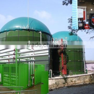 Hot Sale Farm Waste Biogas Cogeneration Power Plant/ Bio gas Storage Bag/ Biogas Holder/Biomass Bag