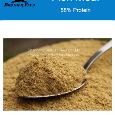 Fish Meal Animal Feed Poultry Food