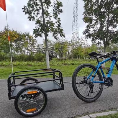 Bicycle trailer, bicycle trailer, cargo vehicle