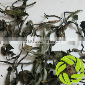 Premium loose tea 3year gongmei white tea white peony white tea fujian province bai mu dan white tea