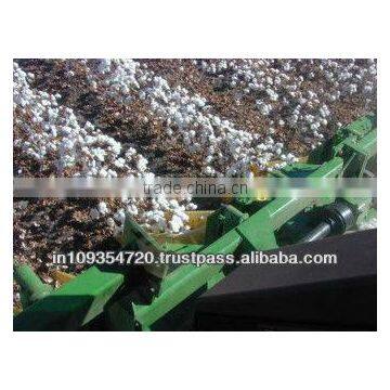 Organic Raw Cotton INDIA
