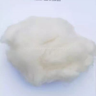Chinese dehaired white baby cashmere fibre with top quality
