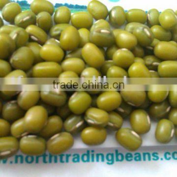Mung Bean/Mung beans/green mung bean/green mung beans (sprouting type) 2013 crop,Jilin Origin.
