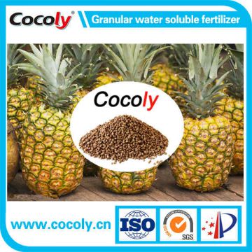 Fulvic acid granular water soluble fertilizer 100% water soluble