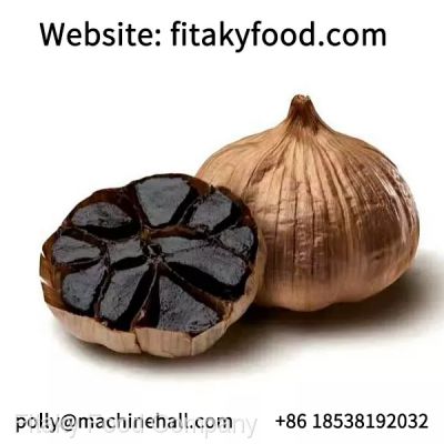 Halal Black Garlic Manufacturer