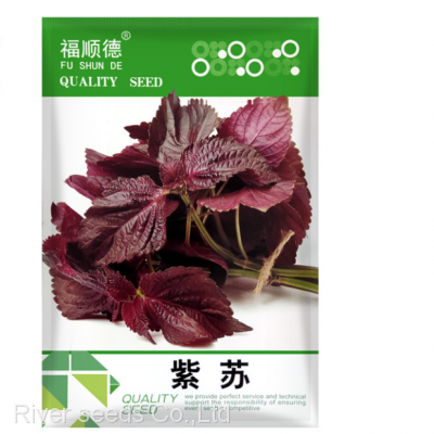 700pcs Shiso vegetable seeds for gardening red purple Perilla frutescens var crispa seeds-vegetables-dropshipping