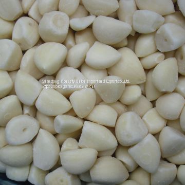 frozen garlic segment