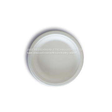 JUST Disposable  Biodegradable party Plate6''