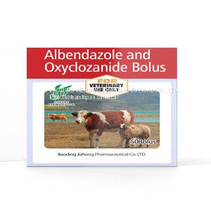 Albendazole and Oxyclozanide Bolus 600mg+300mg