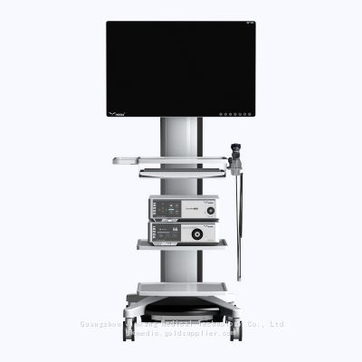 Hysteroscopy : Display + Camera system + light source + Trolley + Hysteroscope + Gynecology Resectoscope + Electronic surgical Unit + Endoscopy Pump