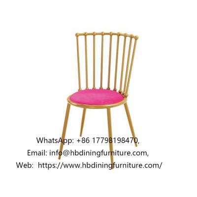 Internet celebrity fashion wire backrest velvet dining chair