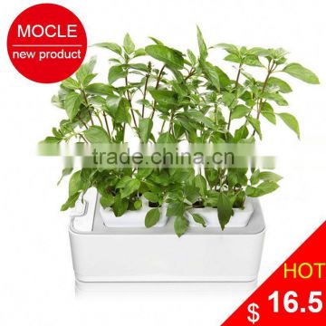 auto aeroponics flower pot grow system Auto plant growth