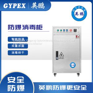 YP-2XG/EX Ozone sterilization · Factory direct sales · Professional disinfection equipment manufacturer·Yingpeng Small Vertical Intelligent Temperature Control Disinfection Cabinet