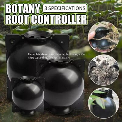 Reusable plant grafting ball     Plant Root Growing Box     Plant Propagation Balls        Plant Rooting Box