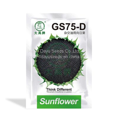 Newly bred three-line hybrid early maturity oil sunflower      Planting Sunflower Seeds      Hybrid Oil Sunflower Seeds