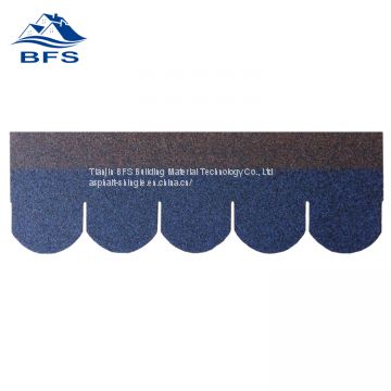 scale roofing shingle