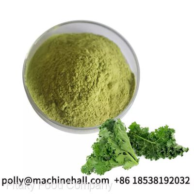 Green Superfood Kale Powder Wholesale Price