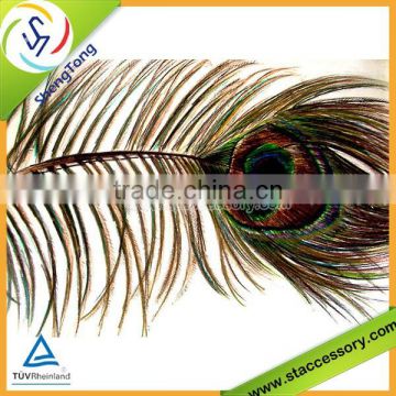 2015 new fashion wholesale indian peacock feather