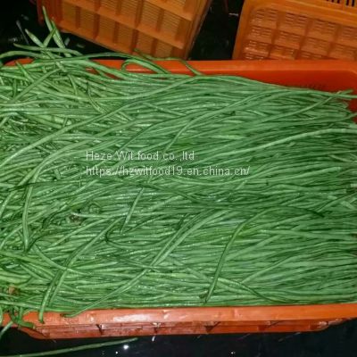 Frozen asparagus beans cuts