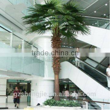 LXY081409 royal palm tree ornamental artificial washingtonia robusta palm trees for sale