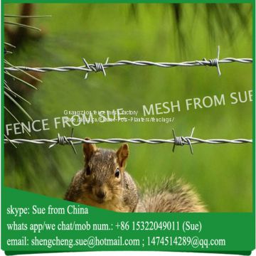 China factory Hot sale galvanised barbed wire in stock