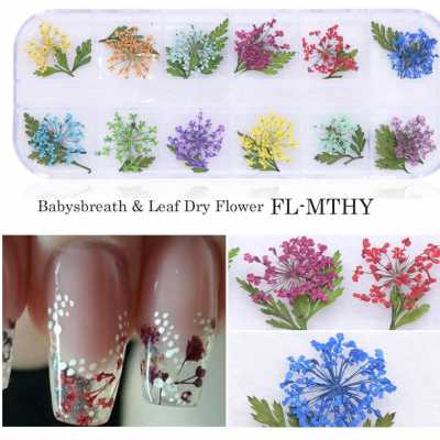 Dried Flower Acrylic Nails Nail Decorations Sticker Leaf Daisy Dry Flower