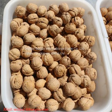 2020 The Best New Crop Liaoxi  Walnut Inshell