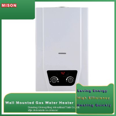 Portable Instant LPG/NG Stainless steel Gas Hot Water Heaters zero water pressure gas geyser Wall mounted Geyser