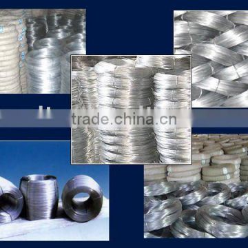 Hot Dipped Galvanized Steel Iron Wire zinc coated steel wire                        
                                                Quality Choice