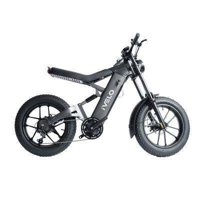 iVelo Fat Tire Electric Bike 20 inch 48V 1000W Rear Motor with Swappable Battery for Adults