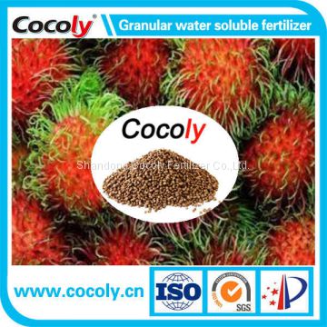 Cocoly Water Soluble Fertilzier NPK+ Fulvic acid