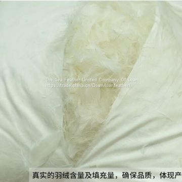 Factory Made Wholesale Feather Down Filled Cushion