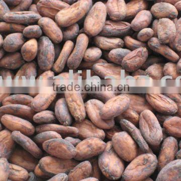 fermented cacao beans