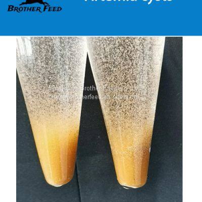 90 Hatch Rate Artemia Cysts Brine Shrimp Eggs with Cheap Price